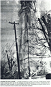 64 - Water Tower Collapse by Ice - 1948