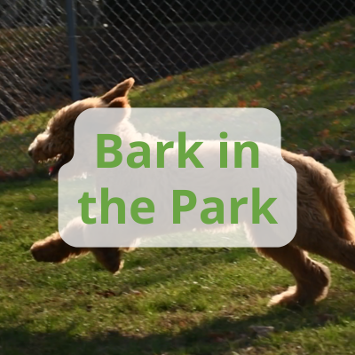Bark in the Park