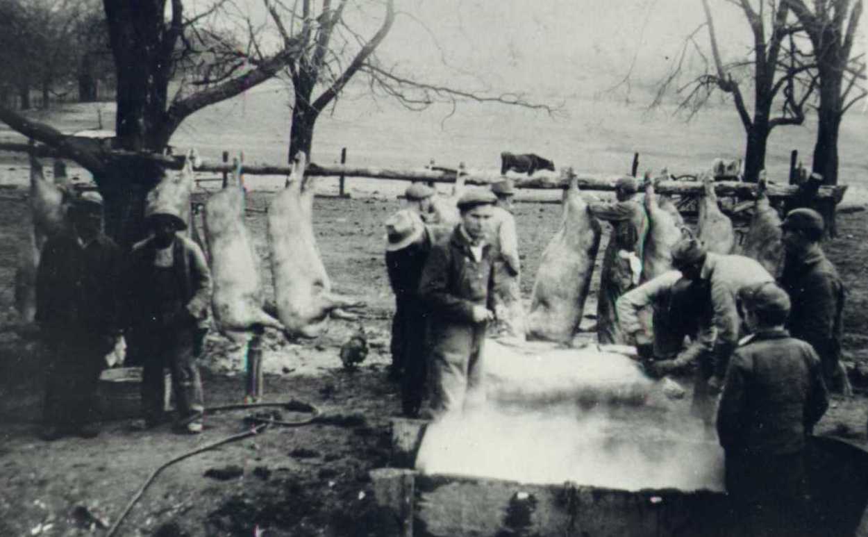 57 - Meat Processing