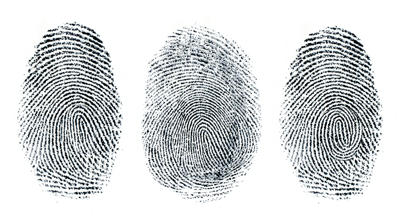 FingerPrintGraphic